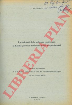 PELLEGRINI Oreste - - I primi stadi dello sviluppo embrionale in Cardiospermum hirsutum Wild. ( Sapindaceae ).