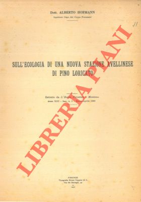 HOFMANN Roberto - - Sull'ecologia di una nuova stazione avellinese di Pino loricato.