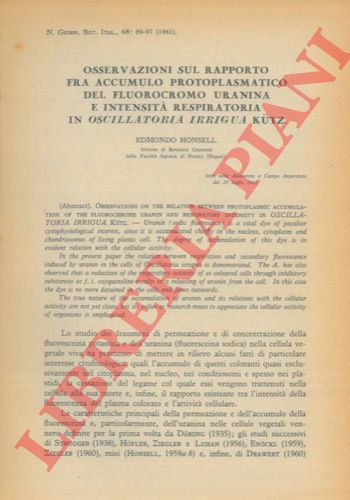 HONSELL Edmondo - - Osservazioni sul rapporto fra accumulo protoplasmatico del fluorocromo uranina e intensit respiratoria in Oscillatoria irrigua Kutz.