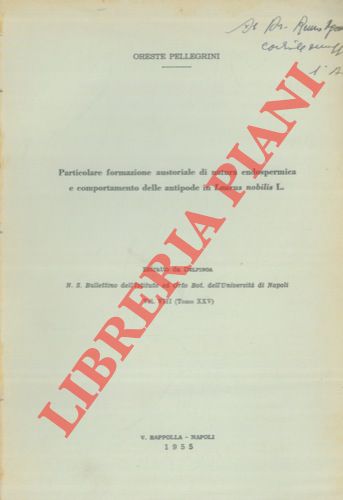 PELLEGRINI Oreste - - Particolare formazione austoriale di natura endospermica e comportamento delle antipode in Laurus nobilis L.