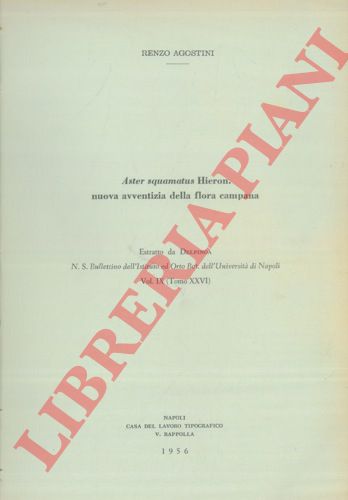 AGOSTINI Renzo - - Aster squamatus Hieron. Nuova avventizia della flora campana.