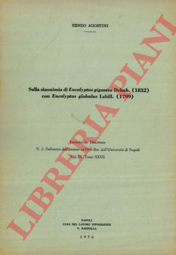 AGOSTINI Renzo - - Sulla sinonimia di Eucalyptus gigantea Dehnh. (1832) con Eucalyptus globulus Labill. (1799).