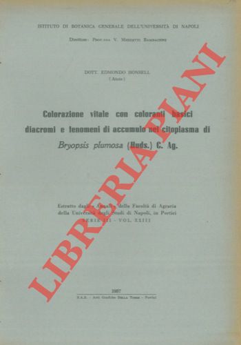 HONSELL Edmondo - - Colorazione vitale con coloranti basici diacromi e fenomeni di accumulo nel citoplasma di Bryopsis plumosa ( Huds.) C. Ag.