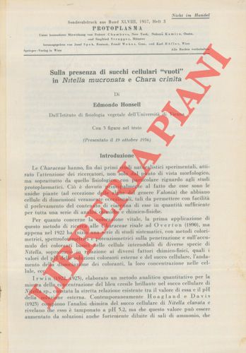 HONSELL Edmondo - - Sulla presenza di succhi cellulari vuoti in Nitella mucronata e Chara crinata.