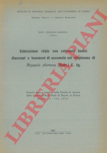 HONSELL Edmondo - - Colorazione vitale con coloranti basici diacromi e fenomeni di accumulo nel citoplasma di Bryopsis plumosa ( Huds.) C. Ag.