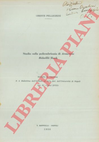 PELLEGRINI Oreste - - Studio sulla poliembrionia di Araucaria bidwillii Hook.