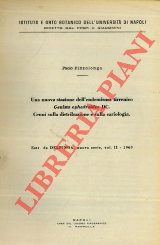 PIZZOLONGO Paolo - - Una nuova stazione dell'endemismo tirrenico Genista ephedroides DC. Cenni sulla distribuzione e sulla cariologia.