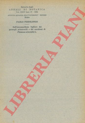 PIZZOLONGO Paolo - - Sull' eteromorfismo fogliare dei germogli primaverili e dei succhioni di Platanus orientalis L.