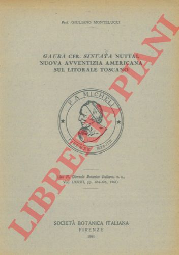 MONTELUCCI Giuliano - - Gaura cfr. sinuata Nuttal nuova avventizia americana sul litorale toscano.