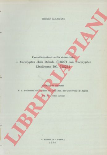 AGOSTINI Renzo - - Considerazioni sulla sinonimia di Eucalyptus elata Dehnh. (1829) con Eucalyptus lindleyana DC. (1828).