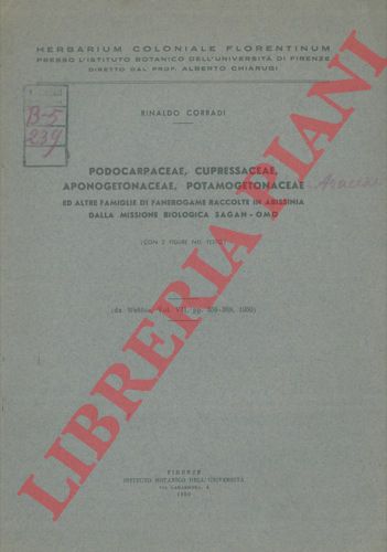 CORRADI Rinaldo - - Podocarpaceae, Cupressaceae, Aponogetonaceae, Potamogetonaceae ed altre famiglie di fanerogame raccolte in Abissinia dalla missione biologica Sagan-Omo.