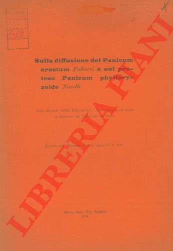 POLLACI Gino - - Sulla diffusione del Panicum erctum Pollacci e sul preteso Panicum phylloryzoide Novelli.