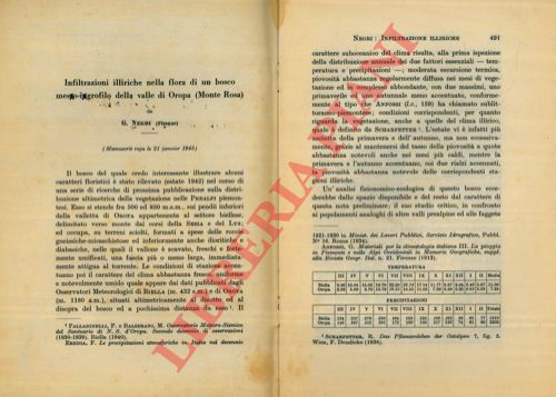 NEGRI Giovanni - - Infiltrazioni illiriche nella flora di un bosco meso-igrofilo della valle di Oropa (Monte Rosa).