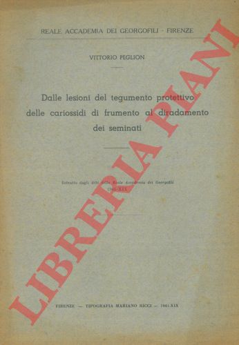 PEGLION Vittorio - - Dalle lesioni del tegumento protettivo delle cariossidi di frumento al diradamento dei seminati.