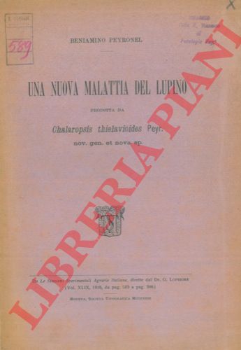 PEYRONEL Beniamino - - Una nuova malattia del lupino prodotta da Chalaropsis thielavioides Peyr. 