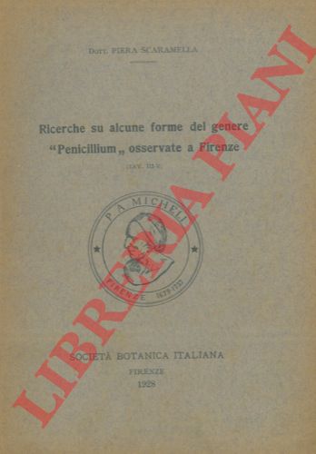 SCARAMELLA Piera - - Ricerche su alcune forme del genere ''Penicillium'' osservate a Firenze.