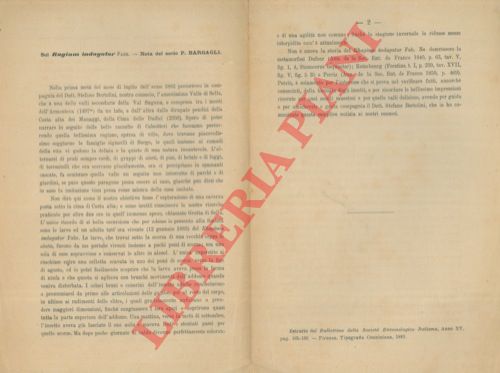 BARGAGLI P. - - Sul Ragium indagator.