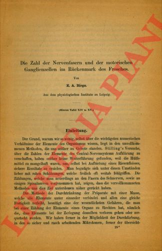 BIRGE E. A. - - Die Zahl der Nervenfarsen und der motorischen Ganglienzellen im Ruckenmark des Frosches.