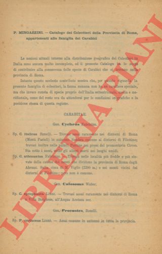 MINGAZZINI P. - - Catalogo dei Coleotteri della provincia di Roma, appartenenti alla famiglia dei Carabici.