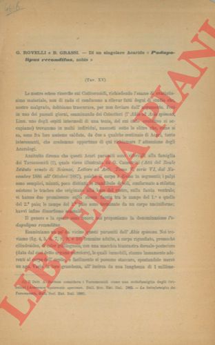 ROVELLI G. - GRASSI B. - - Di un singolare acaride ''Podapolipus recondtius''.