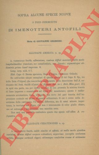 GRIBODO Giovanni - - Sopra alcune specie nuove o poco conosciute di imenotteri antofili.