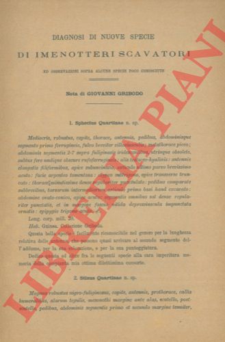 GRIBODO Giovanni - - Diagnosi di nuove specie di imenotteri scavatori ed osservazioni sopra alcune specie poco conosciute.