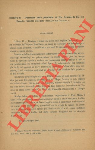 EMERY Carlo - - Formiche della provincia di Rio Grande do Sul nel Brasile, raccolte dal dott. Hermann von Ihering.