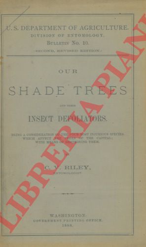 RILEY C.V. - - Our shade trees and their insect defoliators.