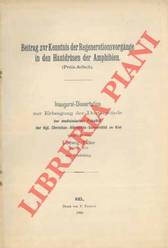 TALKE Ludwig - - Beitrag zur kenntnis der regenerationsvorgange in den hautdrusden der amphibien.