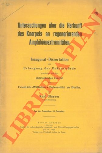 GLAESER Karl - - Untersuchungen uber die Herkunft des Knorpels an regenerierenden Amphibienextremitaten.