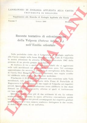 - - Recente tentativo di colonizzazione della Volpoca (Tadorna tadorna L.) nell'Emilia orientale.