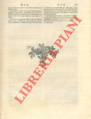 Encyclopedie mthodique - - Art du marbreur de papier - dominotier.