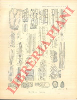 AITCHISON E.T. - - The botany of the Afghan Delimitation Commission.