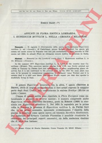 BANFI Enrico - - Appunti di flora esotica lombarda. I. Hypericum mutilum L. nella ''groana'' milanese.