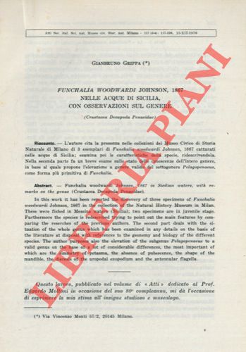 GRIPPA Gianbruno - - Funchalia woodwardi Jhonson, 1867 nelle acque di Sicilia, con osservazioni sul genere. (Crustacea Decapoda Penaeidae).