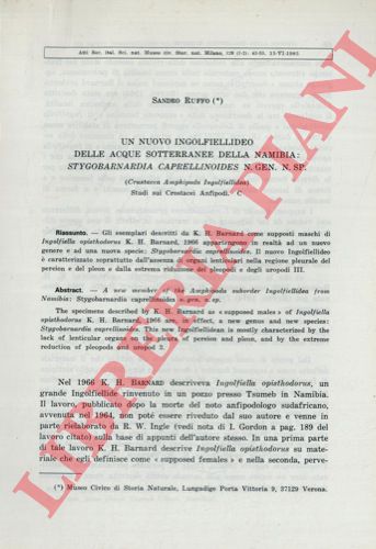 RUFFO Sandro - - Un nuovo ingolfiellideo delle acque sotterranee della Namibia: Stygobarnardia caprellinoides n. gen. n. sp.