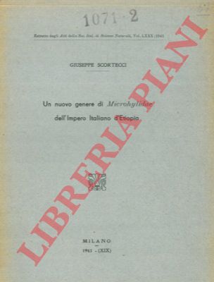 SCORTECCI Giuseppe - - Un nuovo genere di Microhylidae dell'Impero Italiano d'Etiopia.