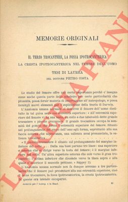 COSTA Pietro - - Il terzo trocantere, la fossa ipotrocanterica. La cresta ipotrocanterica nel femore dell'uomo.