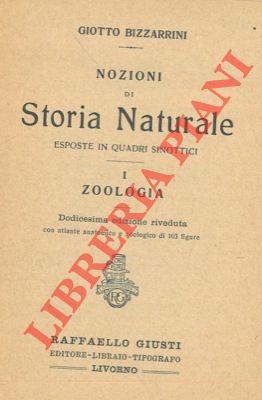 BIZZARRINI Giotto - - Nozioni di storia naturale esposte in quadri sinottici. I: Zoologia. 12a ediz.