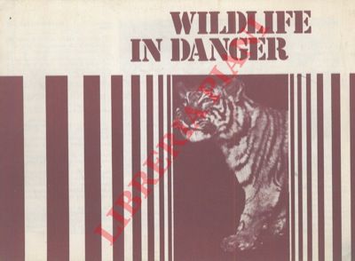 - - Wildlife in danger.