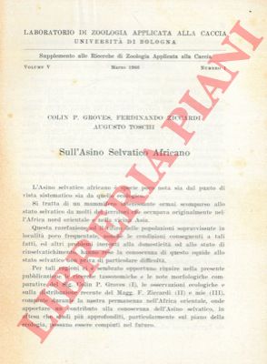 GROVES Colin - ZICCARDI Ferdinando - TOSCHI Augusto - - Sull'asino selvatico africano. 