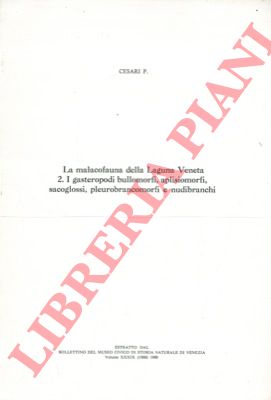 CESARI Paolo - - La malacofauna della laguna veneta - 2. I gasteropodi bullomorfi, aplisiomorfi, sacoglossi, pleurobrancomorfi e nudibranchi.
