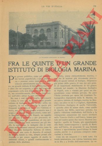 PIERANTONI Umberto - - Fra le quinte d'un grande Istituto di Biologia Marina (a Napoli)