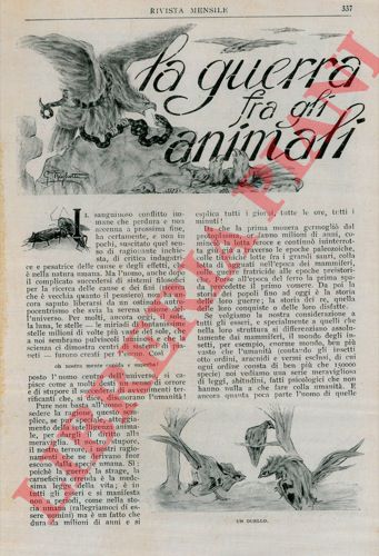 ARESCA Enrico - - La guerra fra gli animali.