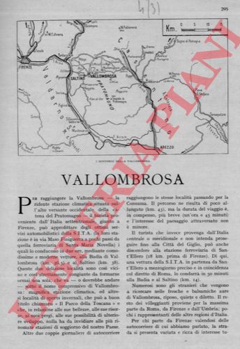 MICHELESI R. - - Vallombrosa.