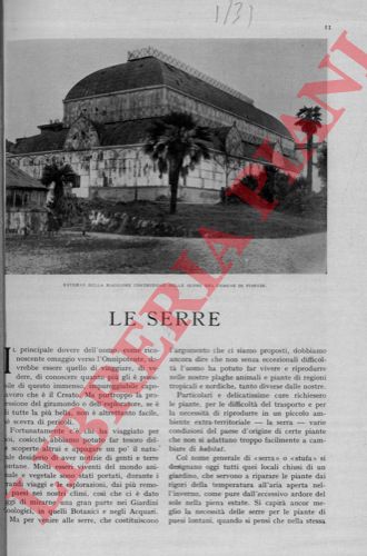 BIAGINI Ermanno - - Le serre.