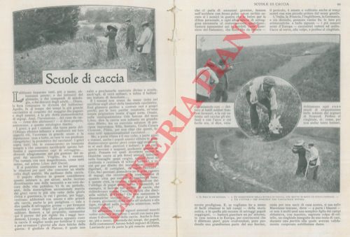G.R. - - Scuole di caccia.