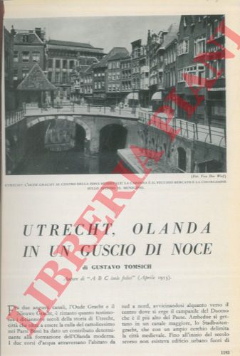 TOMSICH Gustavo - - Utrecht, Olanda in un gusto di noce.