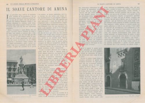 ALBERTINI Cesare - - Il soave cantore di Amina. Un genio della musica italiana.