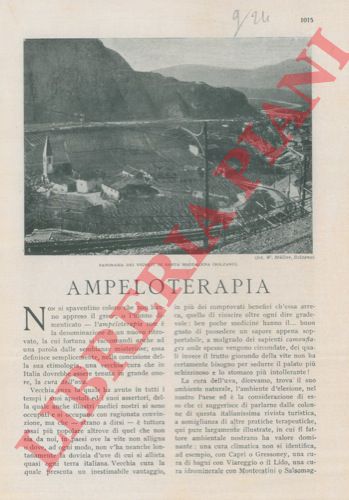 RUATA Guido - - Ampeloterapia.
